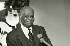 Dr John Henrik Clarke The Impact of The African Mind DVD - Product Image