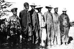 Germany's Black Holocaust Survivors (DVD)